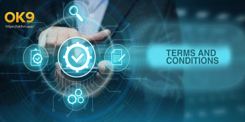 Chính sách và phạm vi áp dụng của điều khoản điều kiện