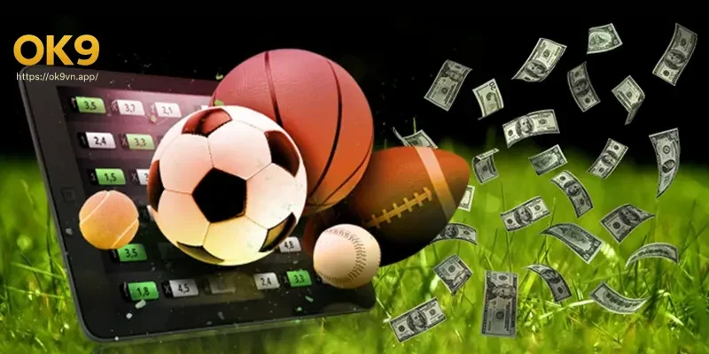 Các loại hình cá cược thể thao tại thể thao Ok9